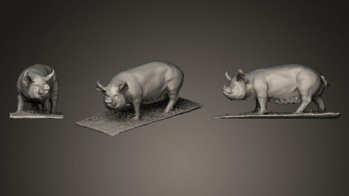 نموذج ثلاثي الأبعاد لآلة CNC التماثيل الحيوانية بعض Pig_2